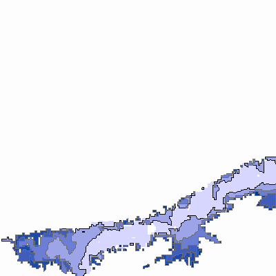 Export Image